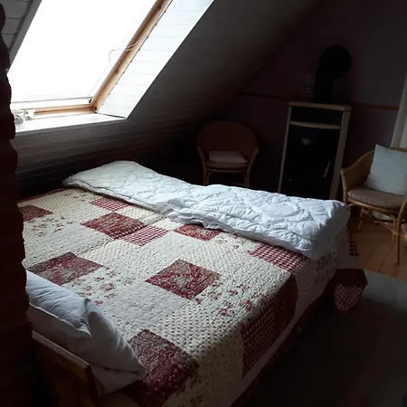 31 Apartment