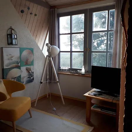 Apartment 31